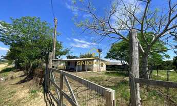 Imagem 5: Salomone vende Sítio com preço de ocasião