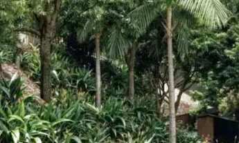 Imagem 2: Imóvel para venda possui 69 metros quadrados com 1 quarto em Laranjeiras - Rio de Janeiro