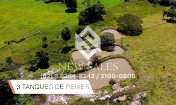 Imagem 5: Chacara` de 3 alqueires 20 litros anicuns goias