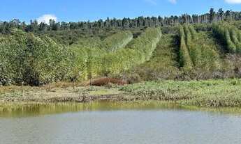 Imagem 2: Fazenda 404 hectares Próximo a Salinas/MG