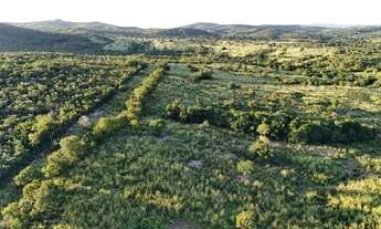 Imagem 7: Sítio à venda no bairro Goiás-Go em Goiás/GO