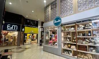 Imagem 3: Excelente Apartamento