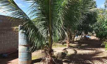 Imagem 7: Imóvel Chácara com venda por R$400