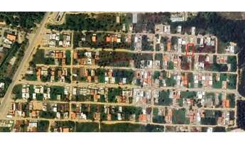 Imagem 5: Terreno em Maragogi 200m2 Loteamento Praia Dourada II