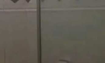 Imagem 7: Apartamento residencial à venda, Centro, Ribeirão Preto