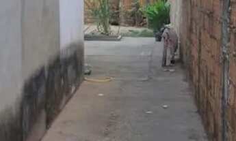 Imagem 4: Casa no bairro parque Brasil 2 a venda