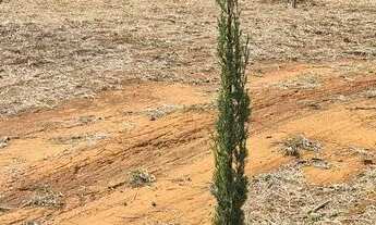 Imagem 2: Vendo lote. Faço trocas