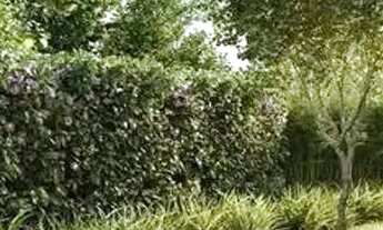 Imagem 2: Apartamento em Rua da República - Cidade Baixa - Porto Alegre/RS