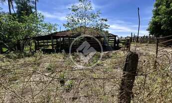 Imagem 3: Hidrolândia - Fazenda de 15 Alqueires codigo: 149884