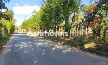 Imagem: LOTE PLANO BAIRRO ARBORIZADO