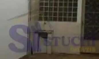 Imagem 7: Locação de Casas / Padrão na cidade de Araraquara