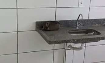 Imagem 3: ? APARTAMENTO À VENDA | MINHA CASA MINHA VIDA