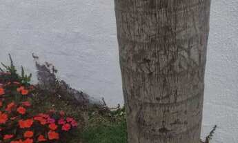 Imagem 3: Sobrado em Cotia Caucaia do alto