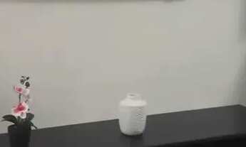 Imagem 3: Imóvel para aluguel com 35 metros quadrados com 1 quarto em Vila Gomes Cardim - São Paulo