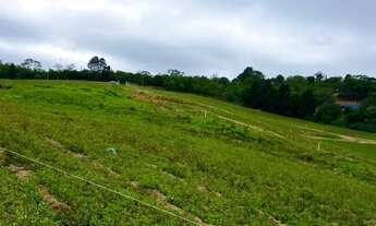 Imagem 2: LOTES DE 500M2 COM FÁCIL ACESSO EM COTIA