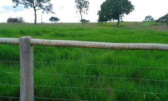 Imagem 7: Fazenda Amorinopolis