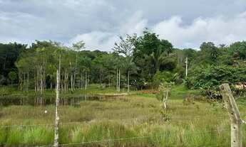 Imagem 3: Vendo sítio Chácara com venda por R$300.000