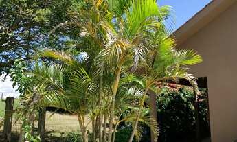 Imagem: Linda chácara para sua família