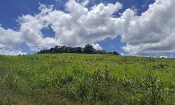 Imagem 5: Terrenos para venda com 1000 metros quadrados em Colégio - Ibiúna - SP