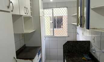 Imagem: Alugo apartamento, 2 quartos, 1 wc, projetados