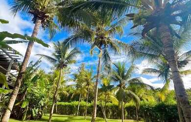 Imagem 3: Vendo bangalô no Villas do Pratagy Maceió!