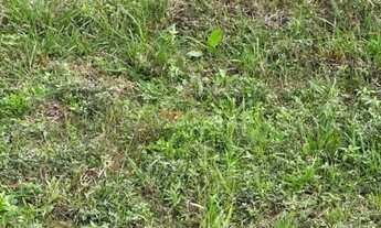 Imagem 5: RUA NOVA TIROL, 1210, VILAFUCK, PIRAQUARA -PR