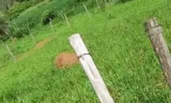 Imagem 6: Lote em Funilândia -Mg R$ 50.000