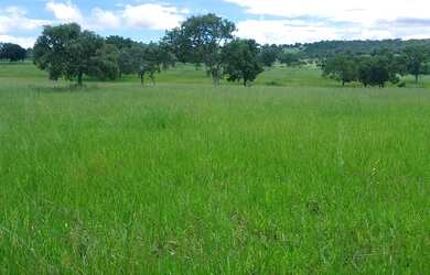 Imagem: Fazenda Amorinopolis