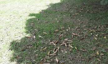 Imagem 5: Terreno à venda em Criciúma no bairro Archimedes Naspolini