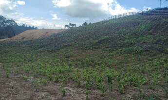 Imagem 3: Excelente Chácara de 5.600 m² na região de Delfim Moreira- Sul de Minas Gerais