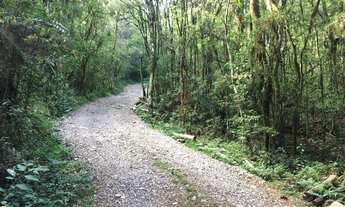 Imagem 3: Área no bairro Mato Queimado em Gramado!