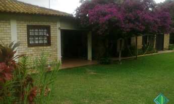 Imagem 4: FLORIANóPOLIS - Sítio - Ratones