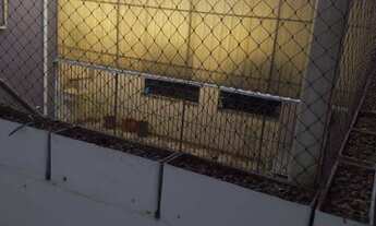 Imagem 6: Apartamento com 3 dormitórios para alugar, 100 m² por R$ 2.100,00/mês - Vila Maria Baixa