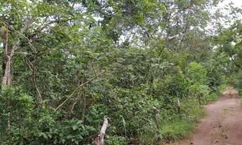 Imagem 6: Chácara de 58ha em Acorizal 360m Beira Rio Cuiabá (Estr. Acorizal - Baús