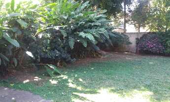 Imagem 2: Em oásis na Vila Olímpia, espetacular casa