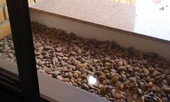 Imagem 6: Apartamento, Jardim Ampliação - São Paulo