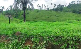 Imagem: VENDO FAZENDA - 190 ALQUEIRES NO MUNICIPIO