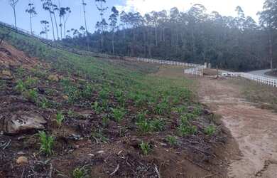 Imagem 5: Excelente Chácara de 5.600 m² na região de Delfim Moreira- Sul de Minas Gerais