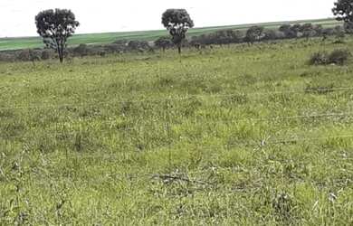 Imagem 2: Oportunidade! Excelente fazenda de 350 Alqueires