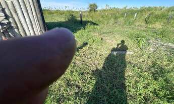 Imagem 7: FAZENDA Á VENDA EM CORUMBÁ - MS - 7.976,21 HECTARES - (PECUÁRIA