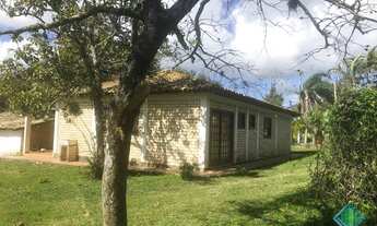 Imagem 2: FLORIANóPOLIS - Sítio - Ratones