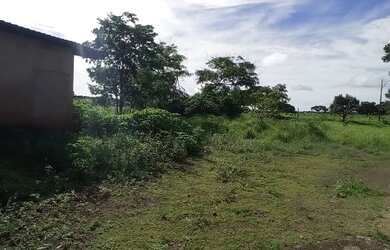 Imagem 3: Chácara para venda com 21 mil metros casa com 5 quartos cercada, água e luz linda