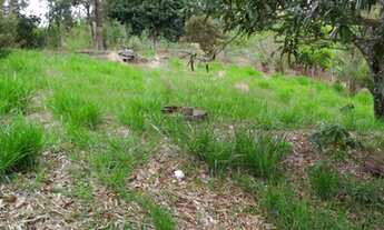 Imagem 4: Fazenda/Sítio/Chácara para venda tem 4200 metros quadrados em Boa Vista - Igaratá - SP