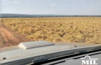 Imagem 4: Fazenda p/ Soja em Guaraí-TO. > 545 Alq. (2.637 Há