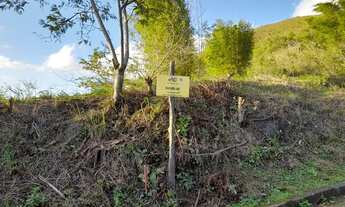 Imagem 3: Terreno com 4.017 m² na Praia da Siriúba, em Ilhabela