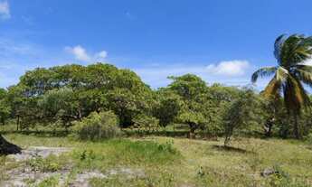Imagem 1: Vende-se uma granja com 2 ha com rio perene - Povoado de Caiana - Ceará Mirim - RN
