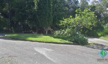 Imagem 7: FLORIANóPOLIS - Terreno Padrão - João Paulo