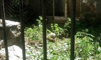 Imagem 7: Casa para Venda em São Paulo, Santa Cecília, 6 dormitórios, 1 suíte, 3 banheiros, 2 vagas