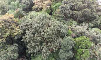 Imagem 2: Lindo, repleto de armários, terraço, lazer completo, espaço pet, confira