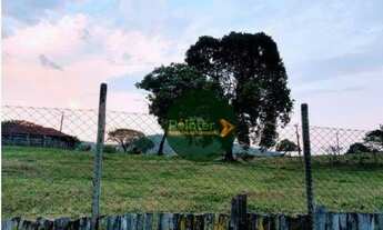 Imagem 6: Fazenda com 4 dormitórios à venda, 1452000 m² por R$ 5.500.000,00 - Zona Rural - Heitoraí